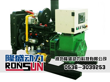 10KW 液化石油气发电机组