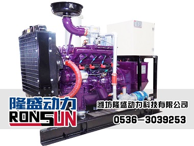 10KW 秸秆气发电机组