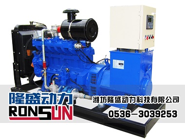 40KW 天然气发电机组