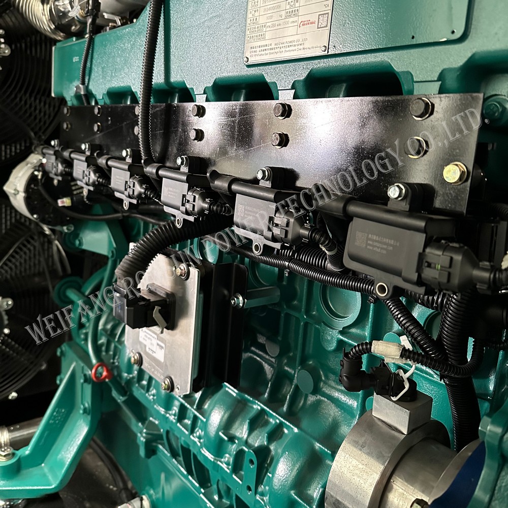 250kW 312.5kVA 天然气发电机组