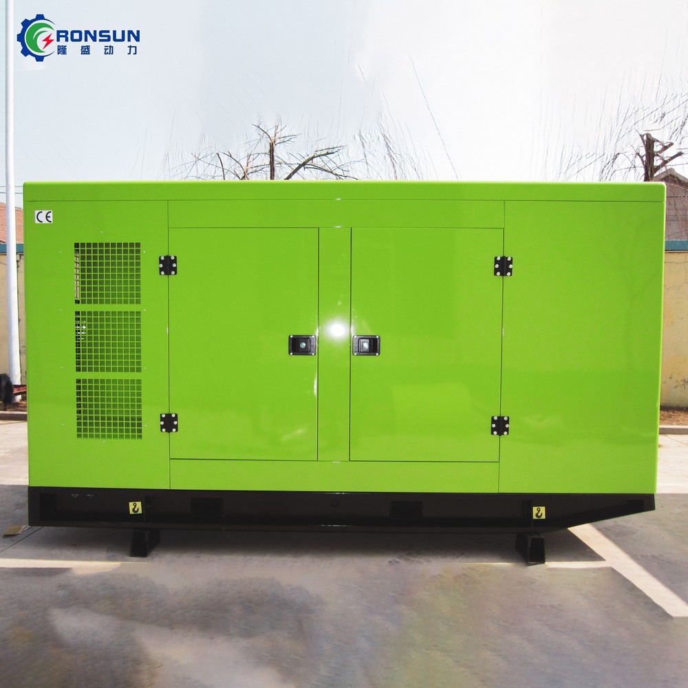 80kW 100kVA 沼气发电机组