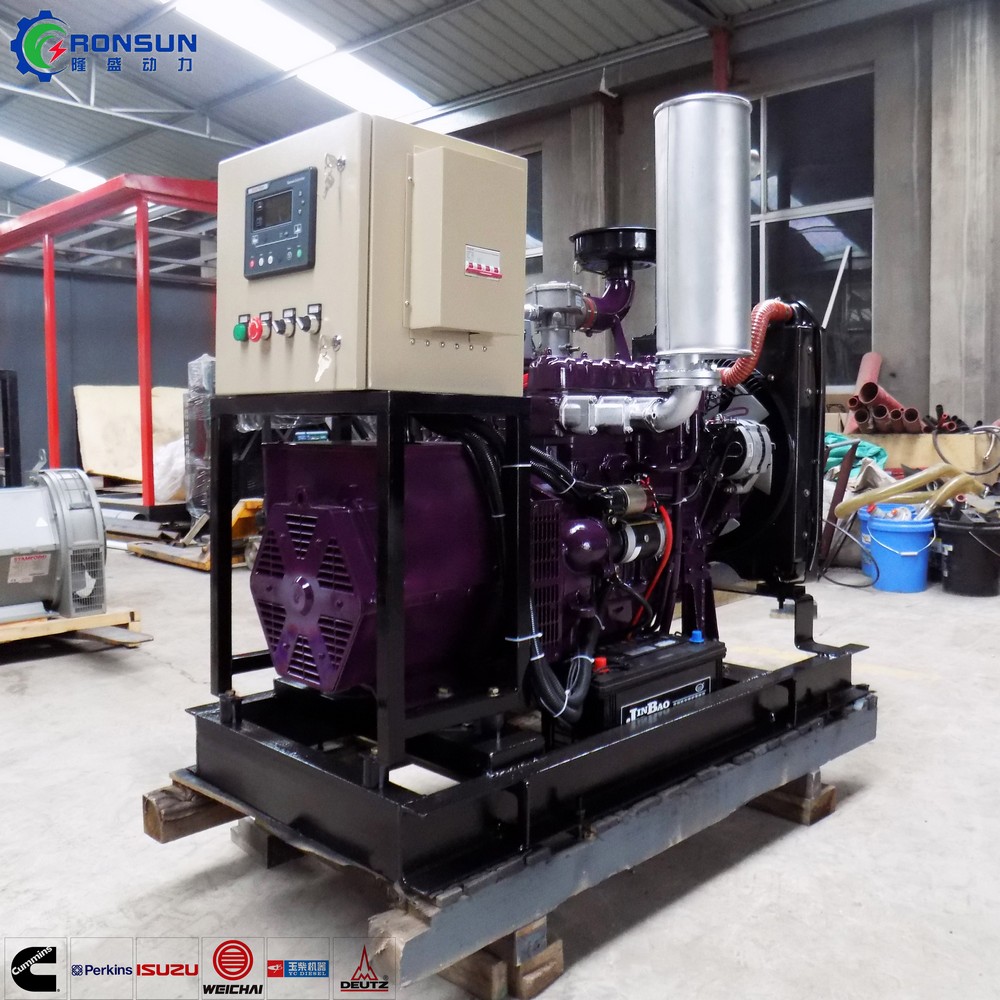30kW 37.5kVA 沼气发电机组