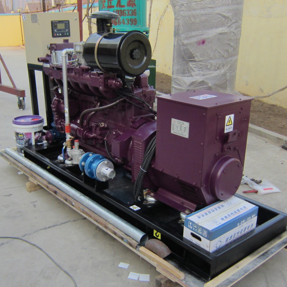 40kW 50kVA 沼气发电机组
