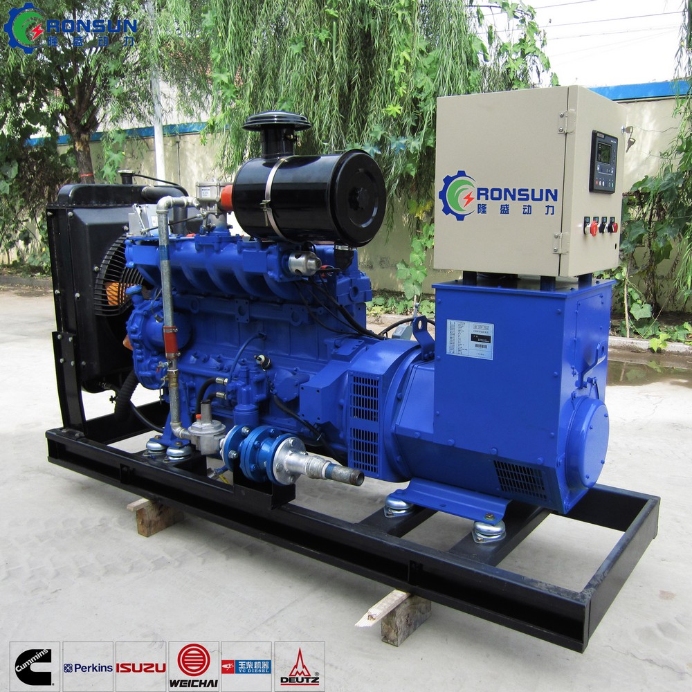 50kW 62.5kVA 沼气发电机组