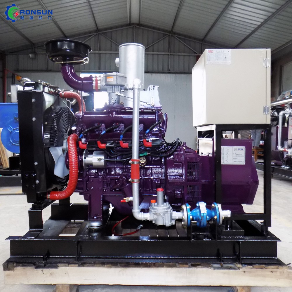 30kW 37.5kVA 沼气发电机组